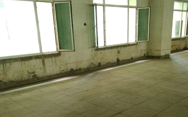 Before Image 1
