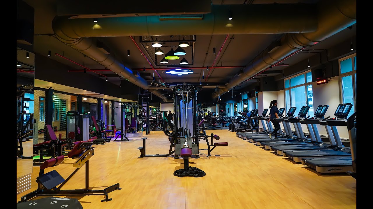 DNA 360 Gym Area